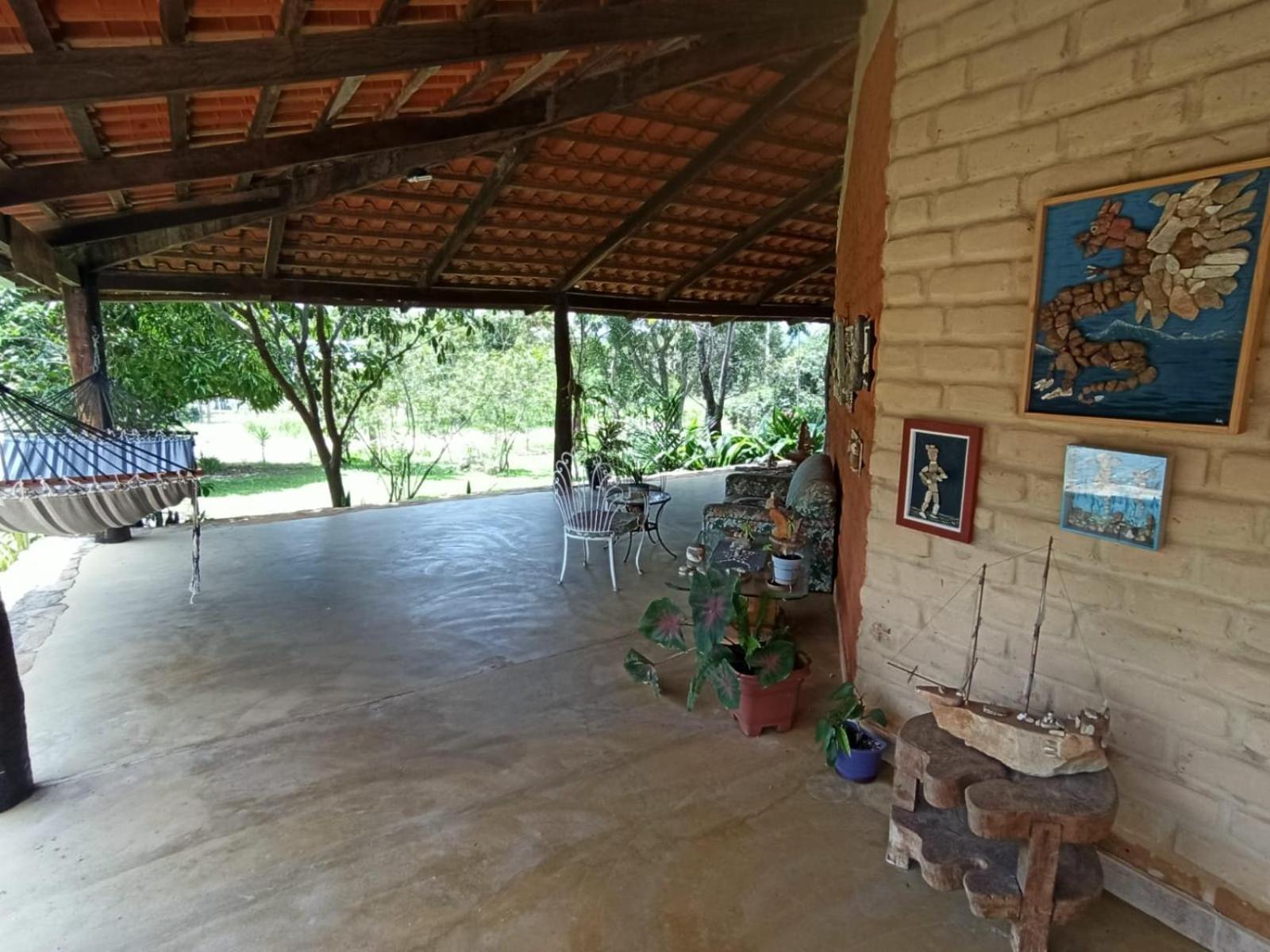 Passaros Do Cerrado * Cavalcante