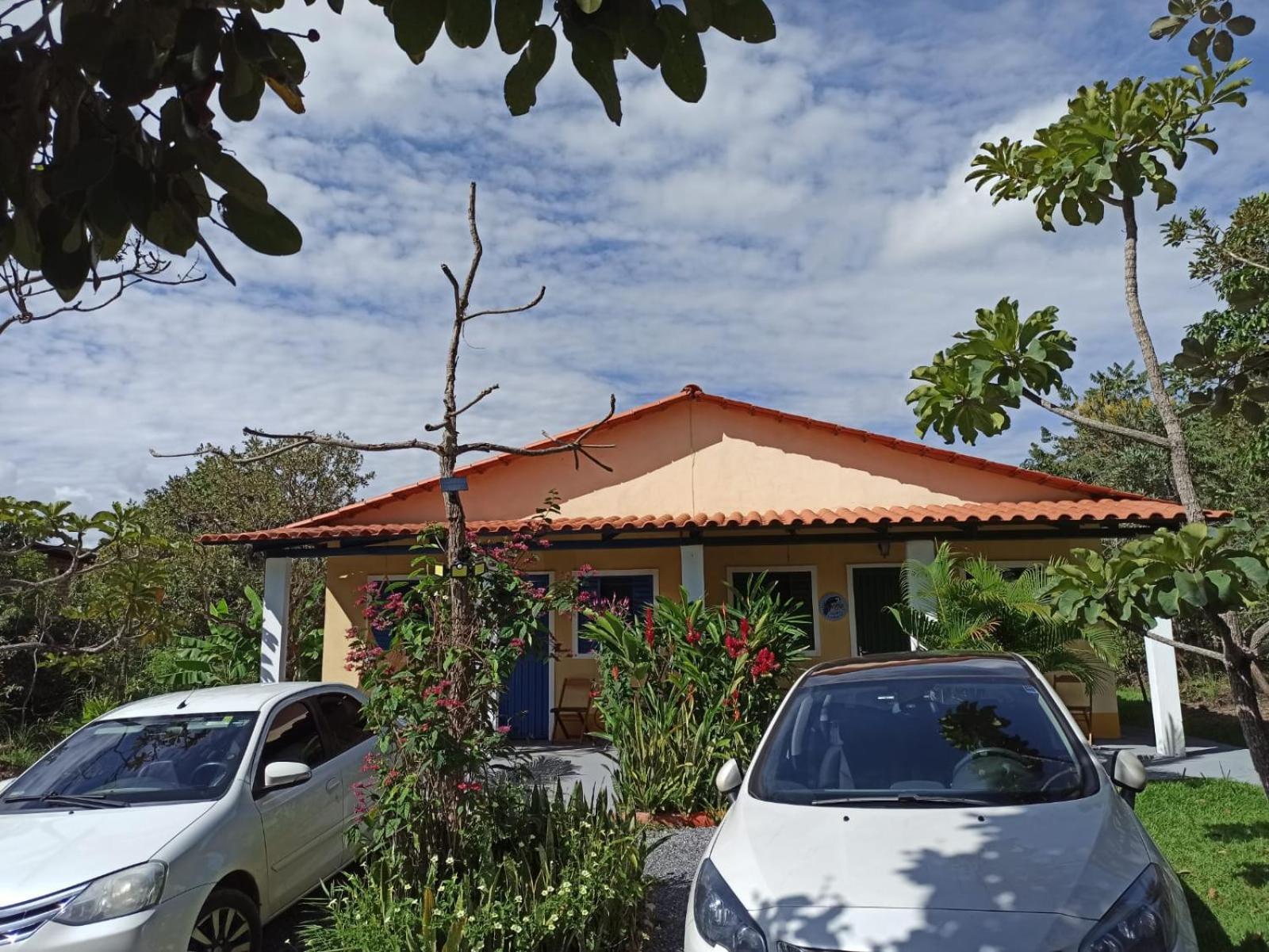 Pássaros Do Cerrado Cavalcante