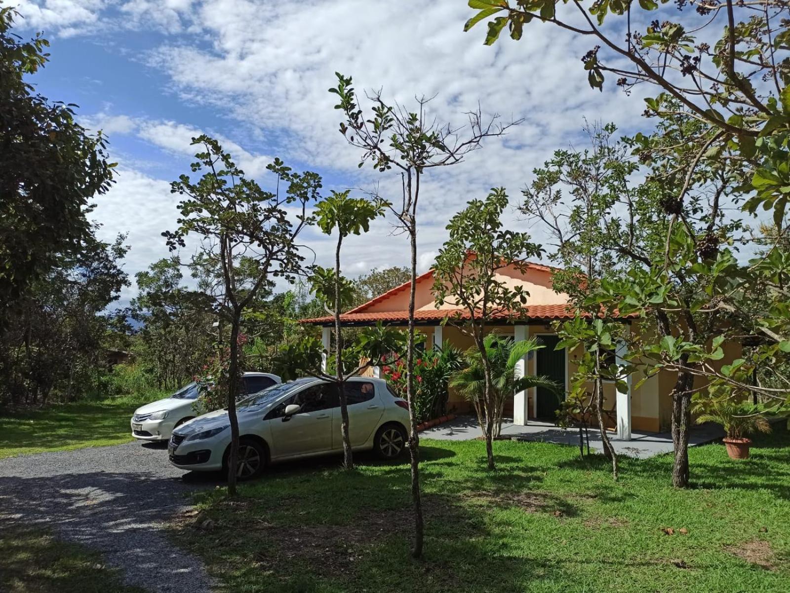 Pássaros Do Cerrado *