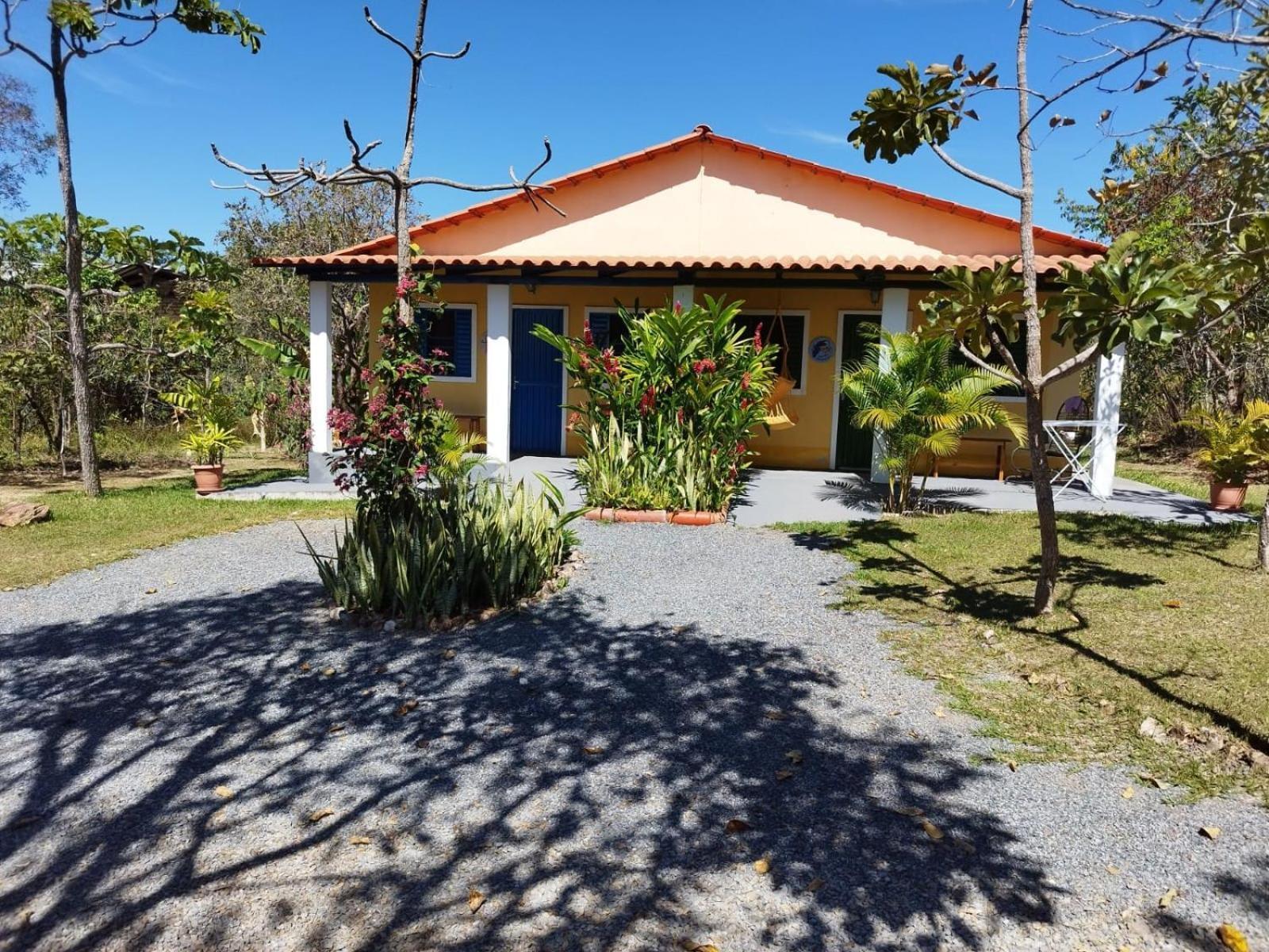 Passaros Do Cerrado *